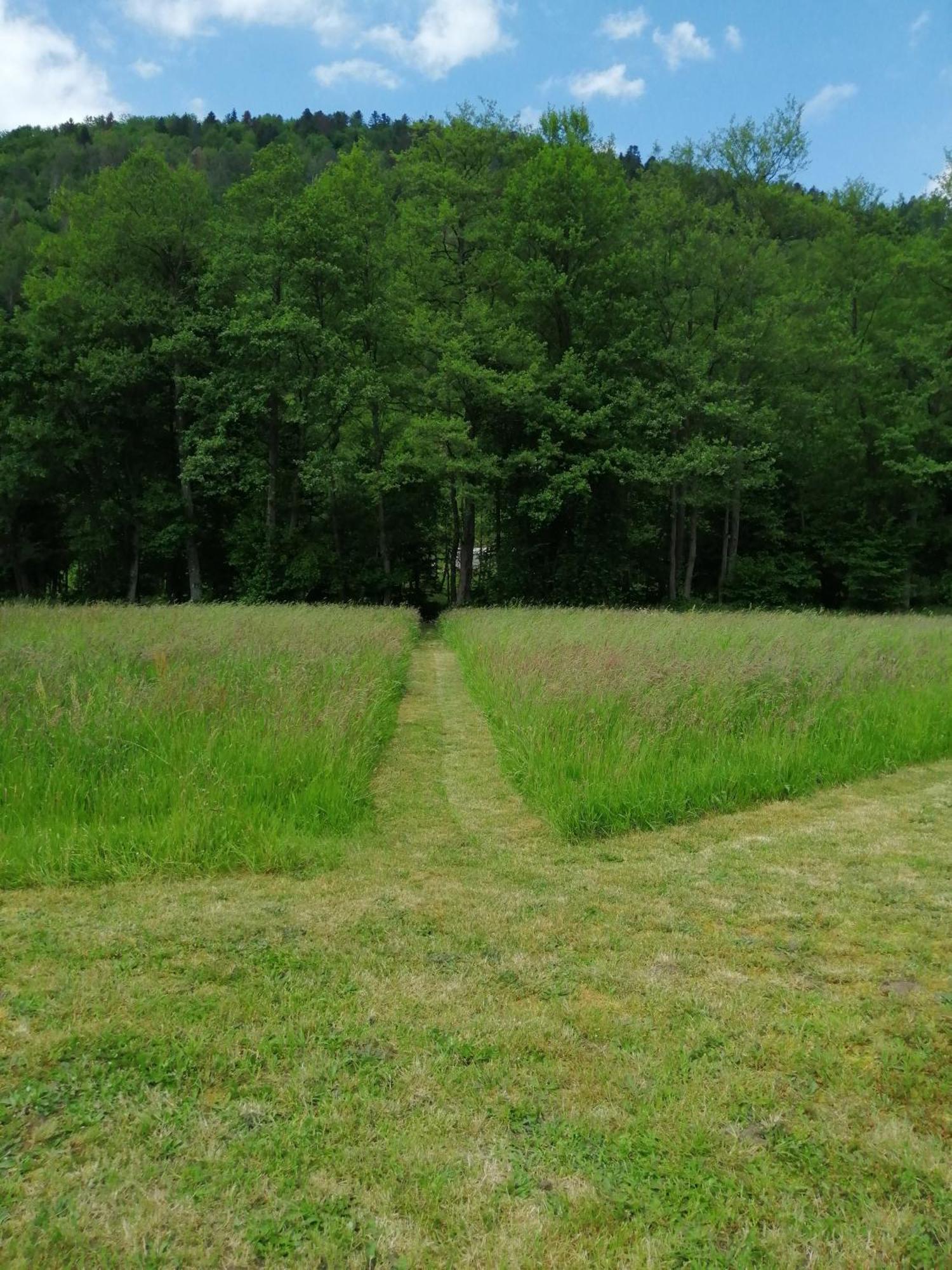 La Nature Sapois  Luaran gambar