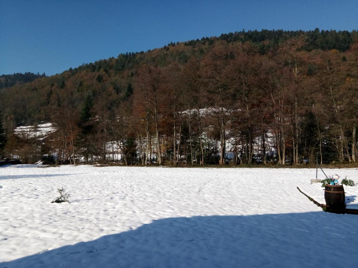 La Nature Sapois  Luaran gambar